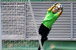 开云体育-中东劲旅登场，展现出色球技征服球迷的简单介绍