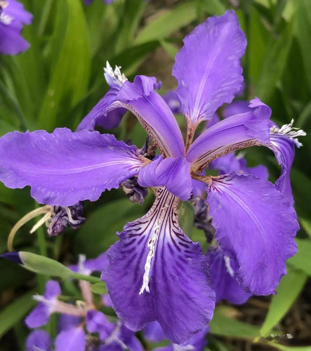 顽强作战球队获胜，绽放胜利之花