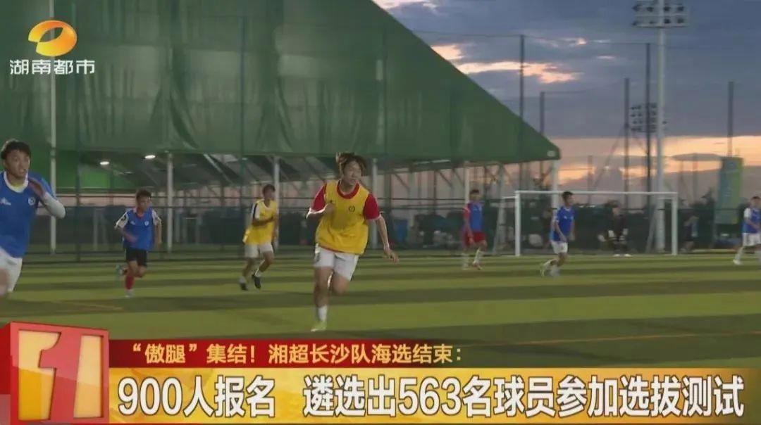 球队准备情况：季前备战是否充分？